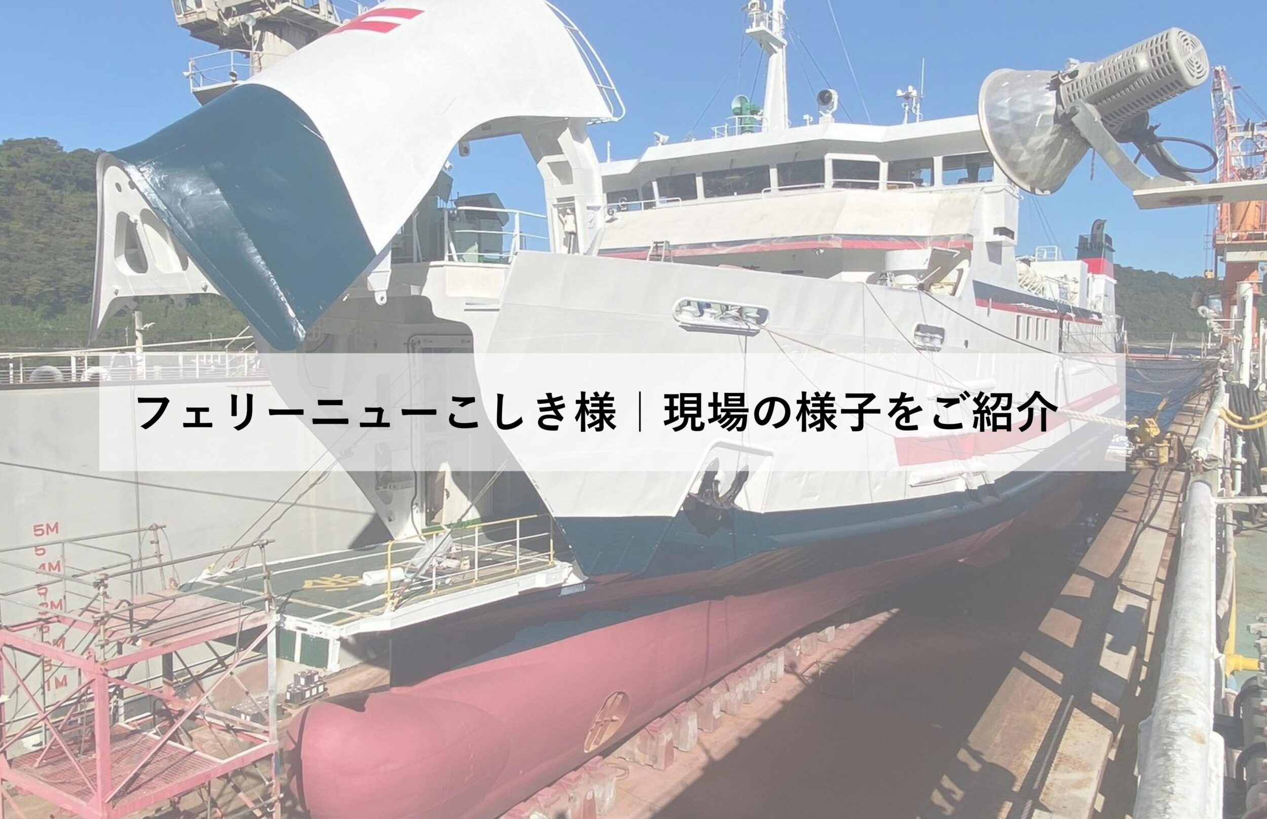 フェリー ニュー こ しき